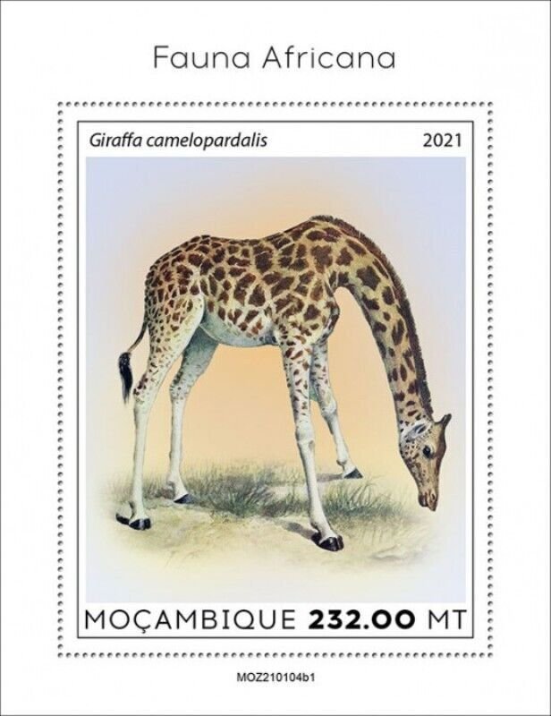 Mozambique - 2021 African Fauna, Giraffe - Stamp Souvenir Sheet - MOZ210104b1