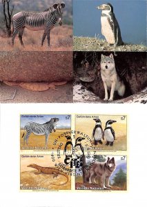 United Nations UN endangered species maximum card no. 18 wolf penguin