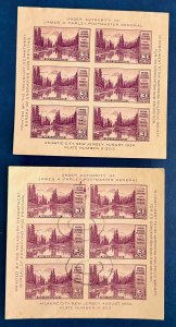 US 750 / 1934 3c Mt. Rainier APS Issue Stamp Souvenir Sheet / MHNG & Used Faults
