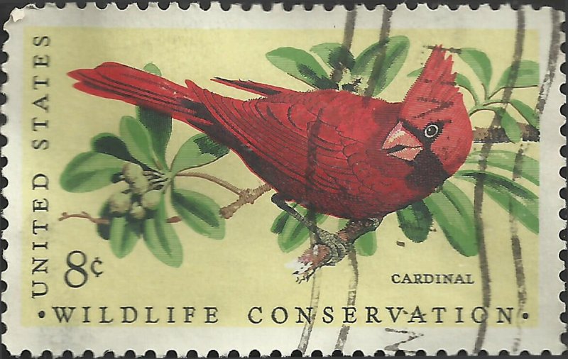 # 1465 USED CARDINAL