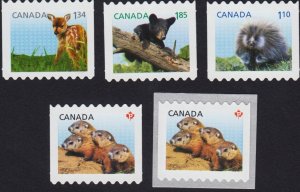 DIE CUT = DEER FAWN = BEAR CUB = set of 5 w LG coil CANADA 2013 #2603, 2604i-07i