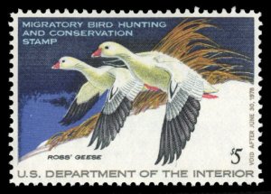 United States, Duck Hunting #RW44 Cat$15, 1977 Ross's Geese, never hinged