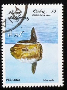 CUBA Sc# 2388  ARCHIPELAGO WILDLIFE marine fish   13c  1981 used cto