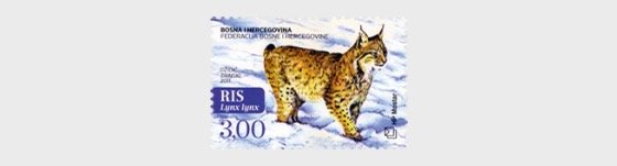 2011 Bosnia & Herzegovina Croat Admin Lynx B4 (Scott 261) MNH