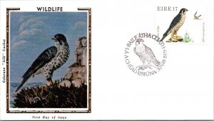 Ireland FDC 1979 - Wildlife Feabhac Seilge - Baile Atha Cliath - F64376
