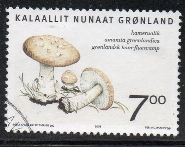 Greenland Sc 447 2005  7.0 kr Mushroom stamp used