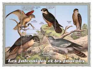 Togo - 2021 Falcons and Hawks, Kestrel, Hobby - 2 Stamp Sheet - TG210140b