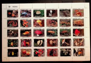 HONDURAS Sc C951 NH MINISHEET OF 1995 - MUSHROOMS - (CT5)