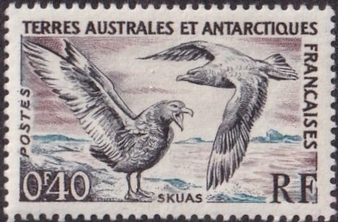 French Southern & Antarctic Territory #13 Mint