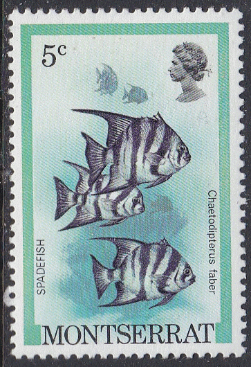 Montserrat #445 F-VF Mint NH ** Fish