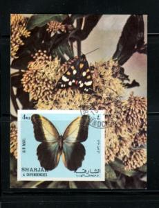 Amazing Butterfly - Imperf. Souvenir Sheet Sharjah u26