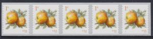 5037 Apples Strip  MNH