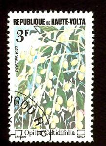 Upper Volta 424 3fr wild fruit flower used