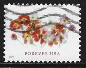 USA #5681   used