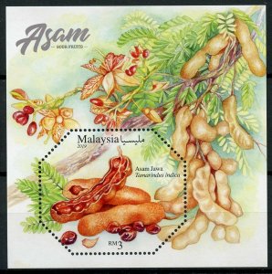 Malaysia 2019 MNH Sour Fruits Asam 1v M/S Flora Flowers Plants Nature Stamps