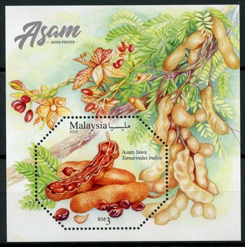 Malaysia 2019 MNH Sour Fruits Asam 1v M/S Flora Flowers Plants Nature Stamps