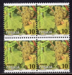 1798 - SERBIA 2022 - Regular stamp - Grapes - Fruit - MNH Block of 4