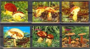 BHUTAN - MUSHROOMS - COMPLETE SET 3 D STAMPS NEVER HINGED!	