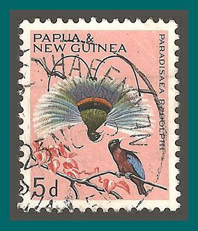 PNG (190) 1965 Bird of Paradise, 5d used (SG 63)