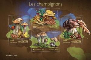 TOGO 2015 SHEET MUSHROOMS tg15415a