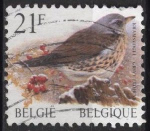 Belgium 1715 (used) 21fr birds: fieldfare (Turdus pilaris) (1998)
