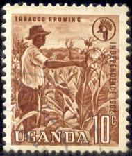 Tobacco Growing, Uganda stamp SC#84 used
