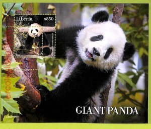 B0500 - LIBERIA - MISPERF ERROR Stamp Sheet - 2022 - Animals, PANDA-