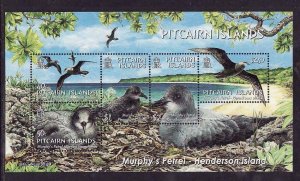 Pitcairn Is.-Sc#608a- id12-unused NH sheet-Birds-Murphy's Petrel-2004-