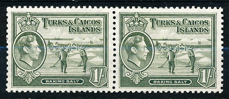 Turks & Caicos Islands #86A Horiz Pair MNH