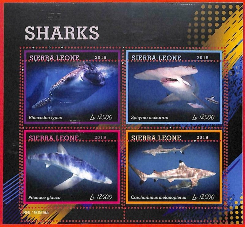 A4616 - SIERRA LEONE - MISPERF ERROR, minifoil: 2019, sharks, marine life-