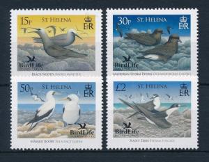 [34486] St. Helena 2007 Birds Vögel Oiseaux Ucelli   MNH