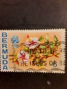 +Bermuda #260              Used