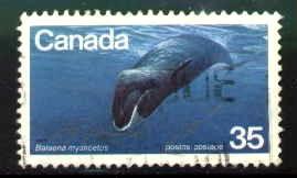 Fish, Bowhead Whale, Canada SC#814 Used