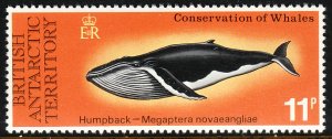 1977 BAT British Antarctic Humpback Whale 11 pence issue MNH Sc# 66  CV $7.25