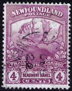 Newfoundland # 118  Used VF CDS Samson's Island DE6/22