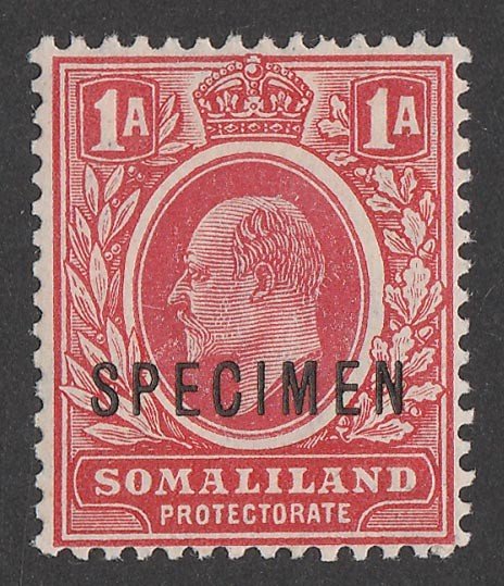 SOMALILAND : 1909 KEVII ½a red, SPECIMEN. 