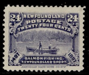CANADA - Newfoundland QV SG76, 24c Matte Violet Blue, M UNUSED. Cat £32.-