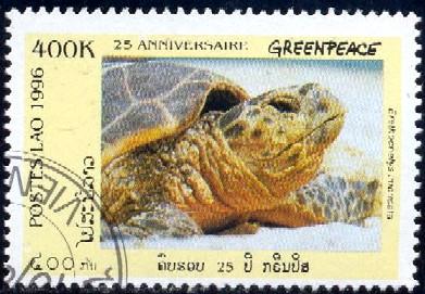 Turtle, Erethochelys Imbricata, Laos stamp SC#1304C used