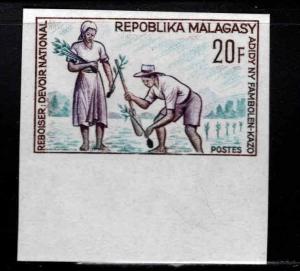 Madagascar Malagasy Scott 380  MH*  1966 reforestation imperforate stamp