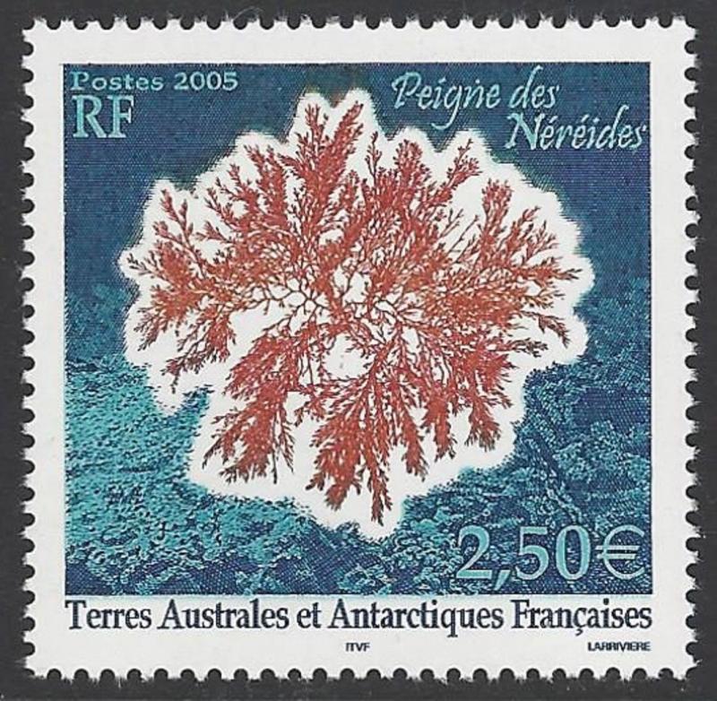 FSAT TAAF 2005 Peignes des Nerides VF MNH (351)