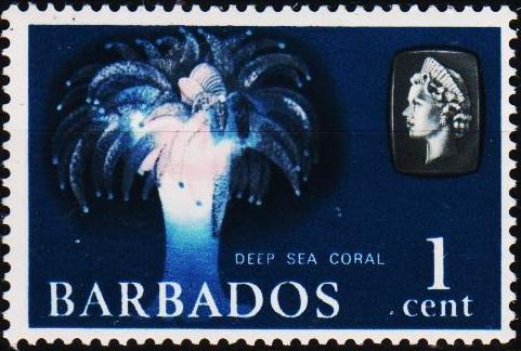 Barbados. 1965 1c S.G.342 Unmounted Mint