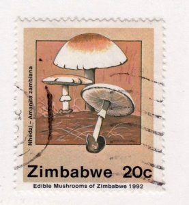 Zimbabwe       658              used