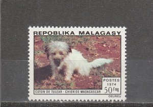 Malagasy Republic  Scott#  512  MNH  (1974 Tulear Dog)