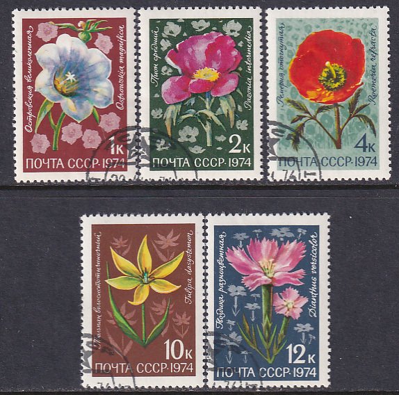 Russia 1974 Sc 4269-73 Flora Flowers of the USSR Morning Glory etc. Stamp CTO