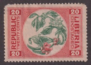 Liberia 187 Pepper Plant 1921