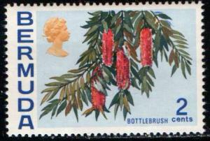 Bermuda 256 - Unused, Never Hinged