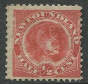 Newfoundland - Scott 56 - QV Definitive - 1887 - MNG - Single 1/2c Stamp