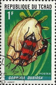 TCHAD UNIDENTIFIED BOX ITEM