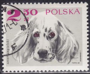 Poland 1640 English Setter 2.50zł 1969