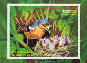 Equatorial Guinea 1976 Mi#Block 240 Asian Birds S/S Perforated MNH